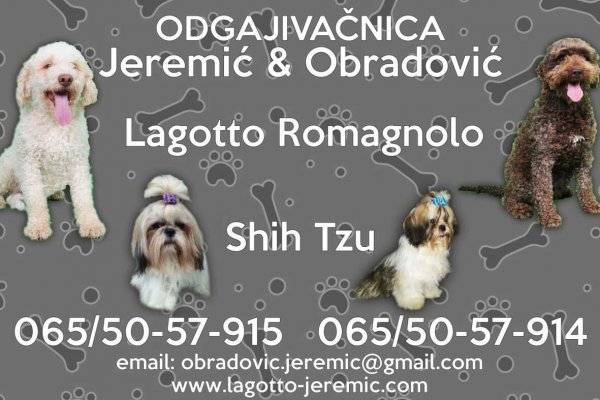 Кракен как зайти ссылка