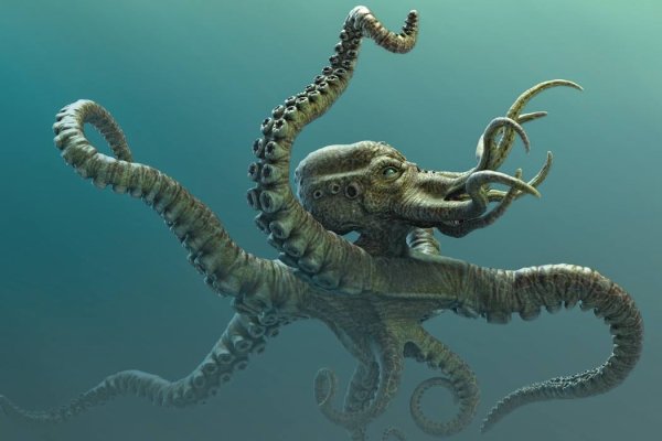 Kraken актуальные ссылки официальный сайт